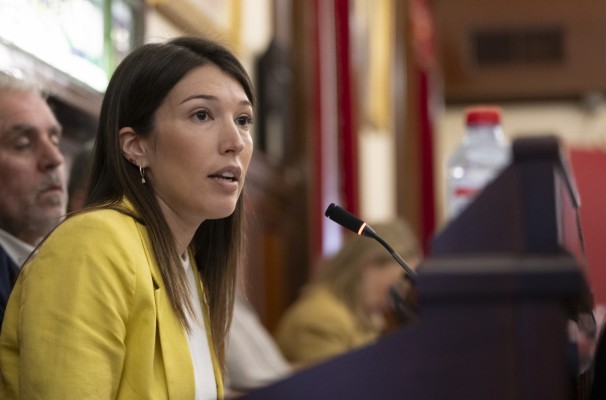 El PSPV pide a la Diputación de Castellón un refuerzo urgente de los tratamientos contra los mosquitos 