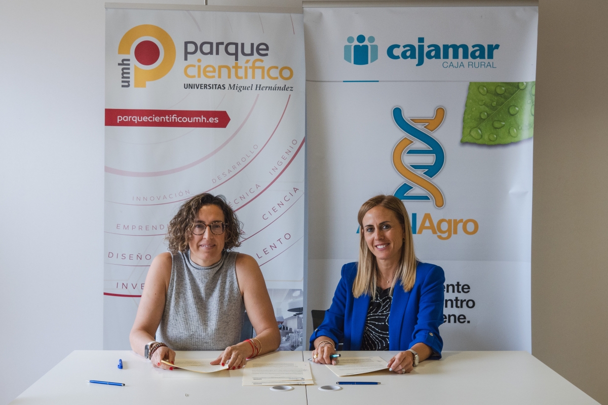 El Parque Científico de la UMH y Cajamar colaboran para fomentar el ecosistema emprendedor.