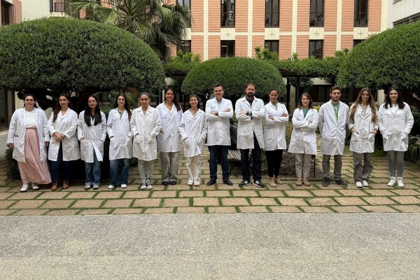 Investigadores desarrollan un método pionero para evaluar materiales antivirales sin laboratorios de alta seguridad