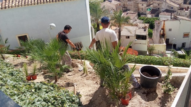 El jardín de El Coso de Cehegín se convertirá en un circuito de aromas y colores con 500 plantas de 15 especies diferentes