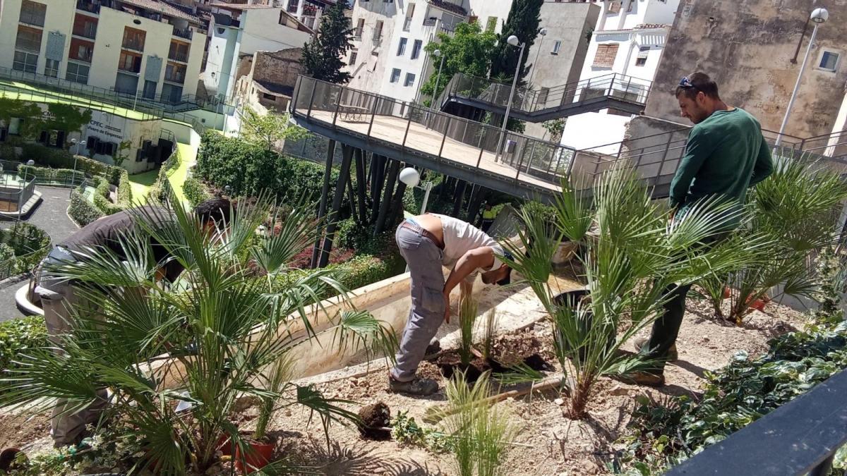 - Foto: AYTO. CEHEGÍN