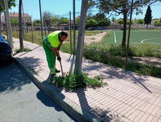 San Vicente inicia una campaña de desbroce para limpiar más de 125 kilómetros de caminos y solares
