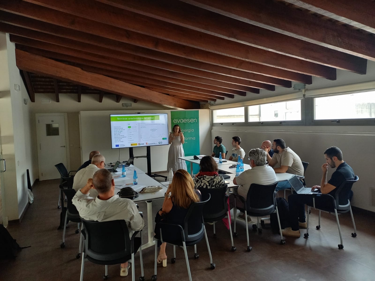 Imagen de una formación sobre transición energética desarrollada por Avaesen.
