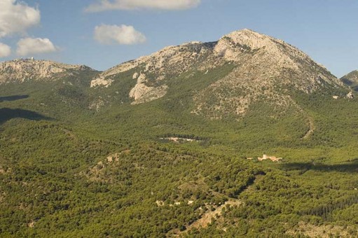 El refugio natural de la Región: una ruta por los pulmones verdes y las costas vírgenes