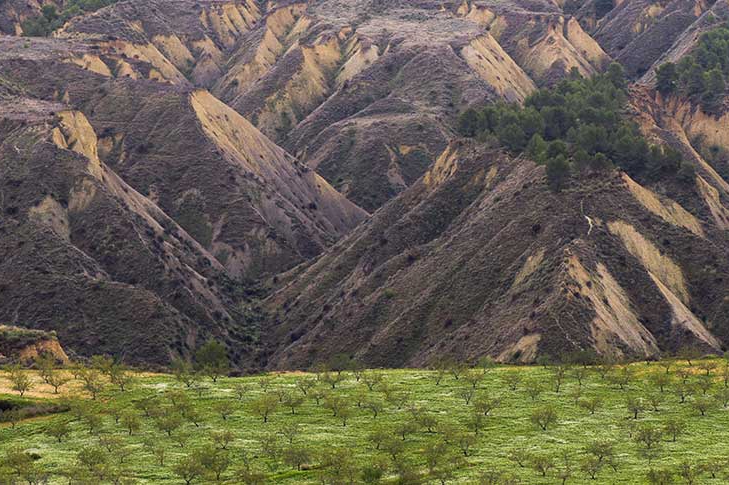  - Foto: TURISMO REGIÓN DE MURCIA 
