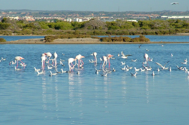  - Foto: TURISMO REGIÓN DE MURCIA 