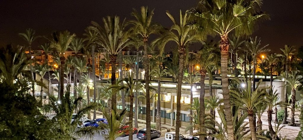 Elche sondea desmantelar el IES La Torreta, recuperarlo como huerto, y trasladarlo al Sector E-16 (El Arsenal)