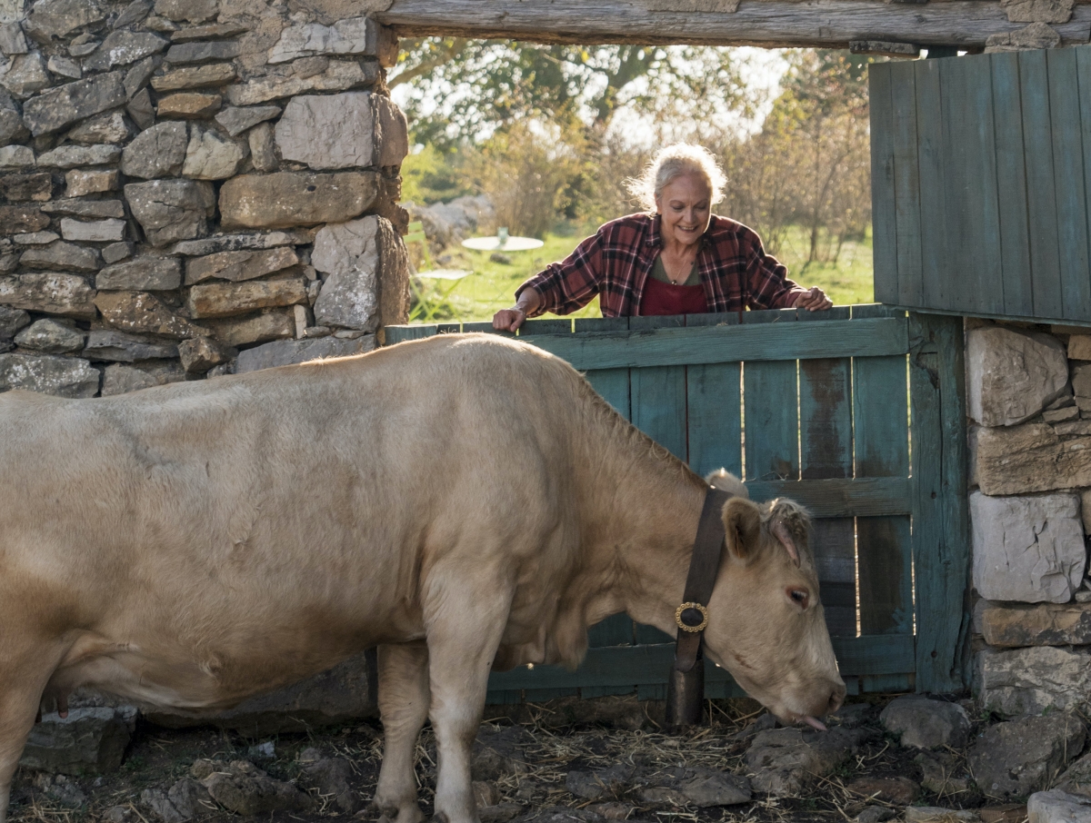 Un amor entre granjeros sexagenarios y una vaca: los inesperados protagonistas de la película valenciana 'Cowgirl'