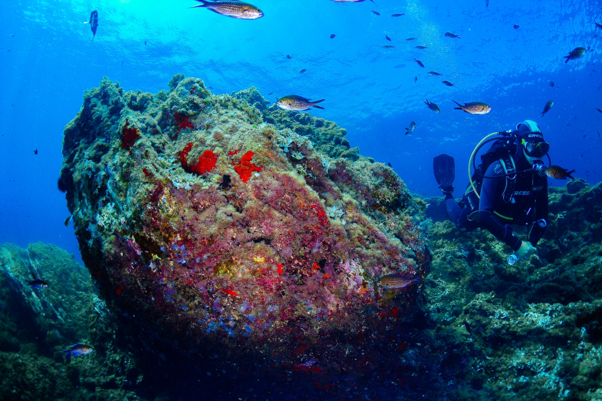Buceo en la Región de Murcia