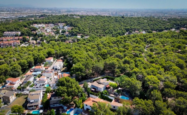 Torrent adjudica las obras de renovación y mejora del alumbrado público en la Avenida al Vedat y Santa Apolonia