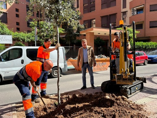 De la Zona de Bajas Emisiones al Riu Sec y Crèmor: Castelló planta más de 2.100 árboles desde 2023 