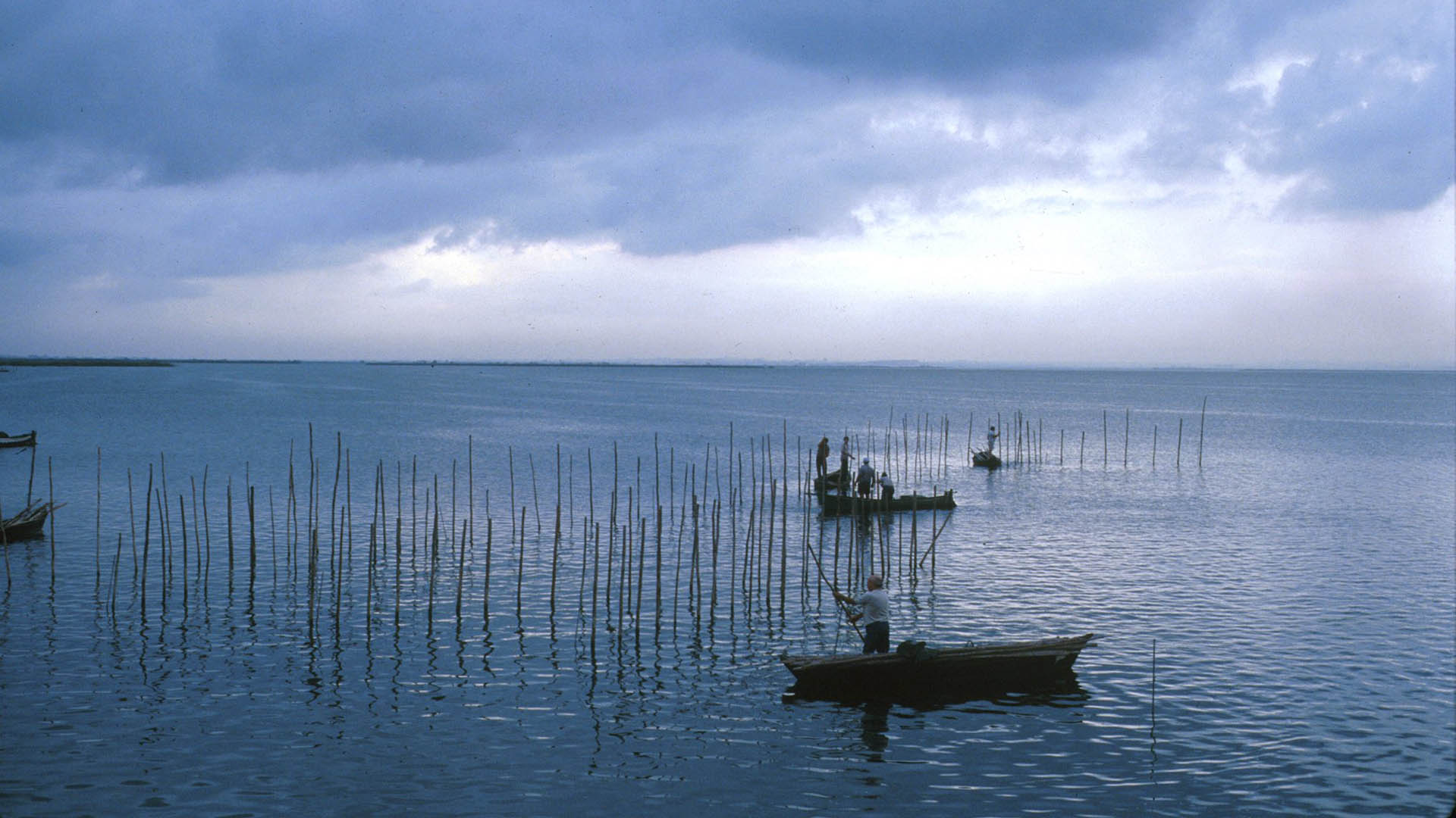 València pone en marcha un nuevo reto GovTech para vigilar el caudal y la calidad del agua de l'Albufera