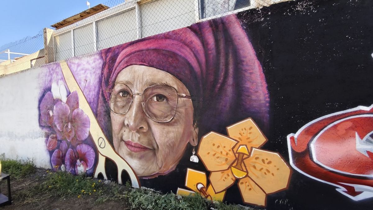  - Foto: AYTO. LOS ALCÁZARES