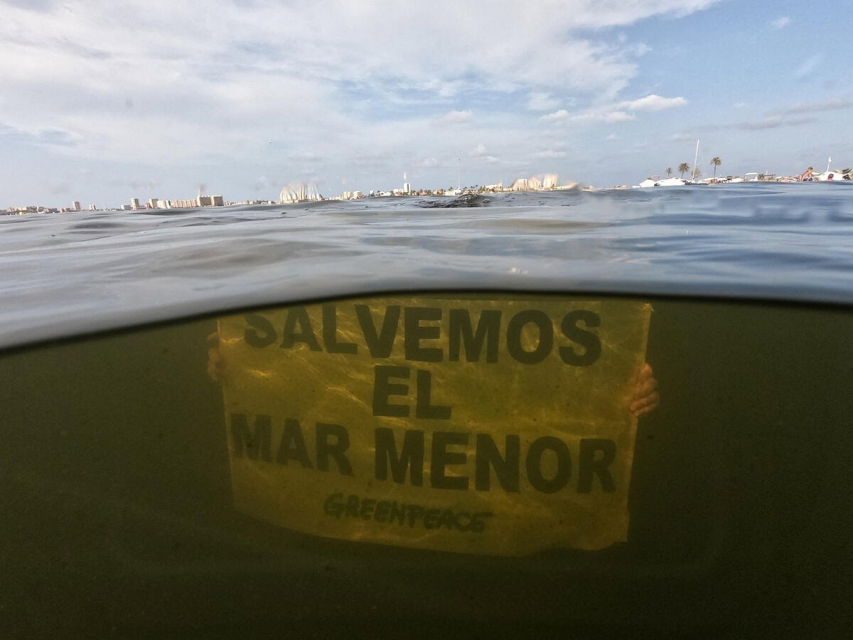 SEO/BirdLife y Greenpeace ven el juicio por el Mar Menor como un símbolo de la lucha contra la impunidad ambiental