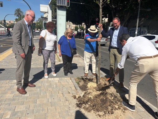 Murcia recupera 115 alcorques vacíos con nuevos árboles para sumar sombra