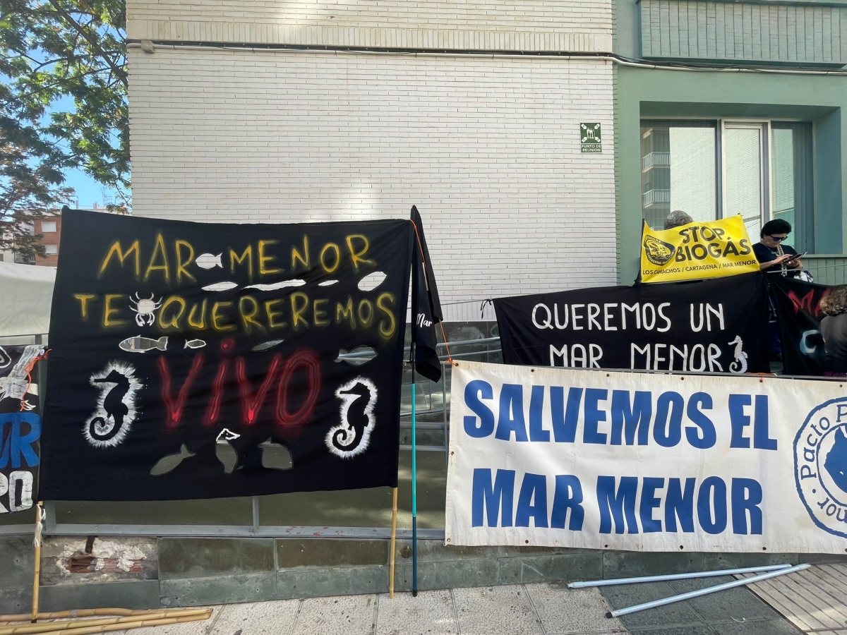  - Foto: Murcia Plaza