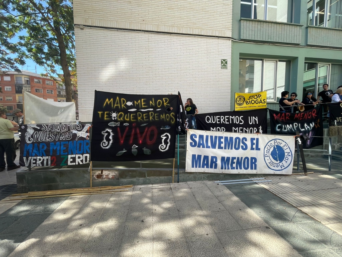  - Foto: Murcia Plaza
