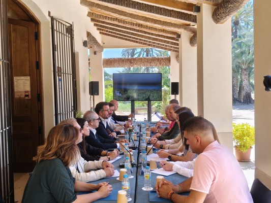 Elche espera tener el Plan de Uso y Gestión del palmeral en septiembre: ahora el qué, después el cómo
