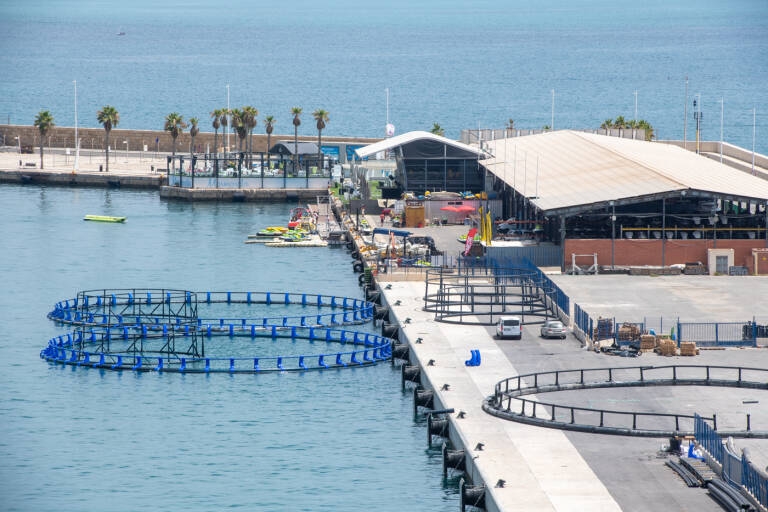 El TSJ desbloquea la marina para megayates en el dique de Levante del Puerto