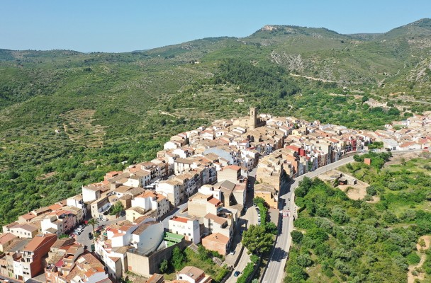 Les Useres se prepara para un fin de semana entre vinos, tardeos y producto local con la XII Fira del Vi