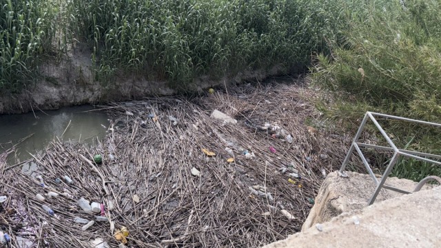 Orihuela reclama soluciones urgentes ante la falta de redes de flotantes en el Segura
