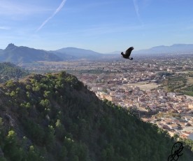Réquiem por la Sierra del Miravete