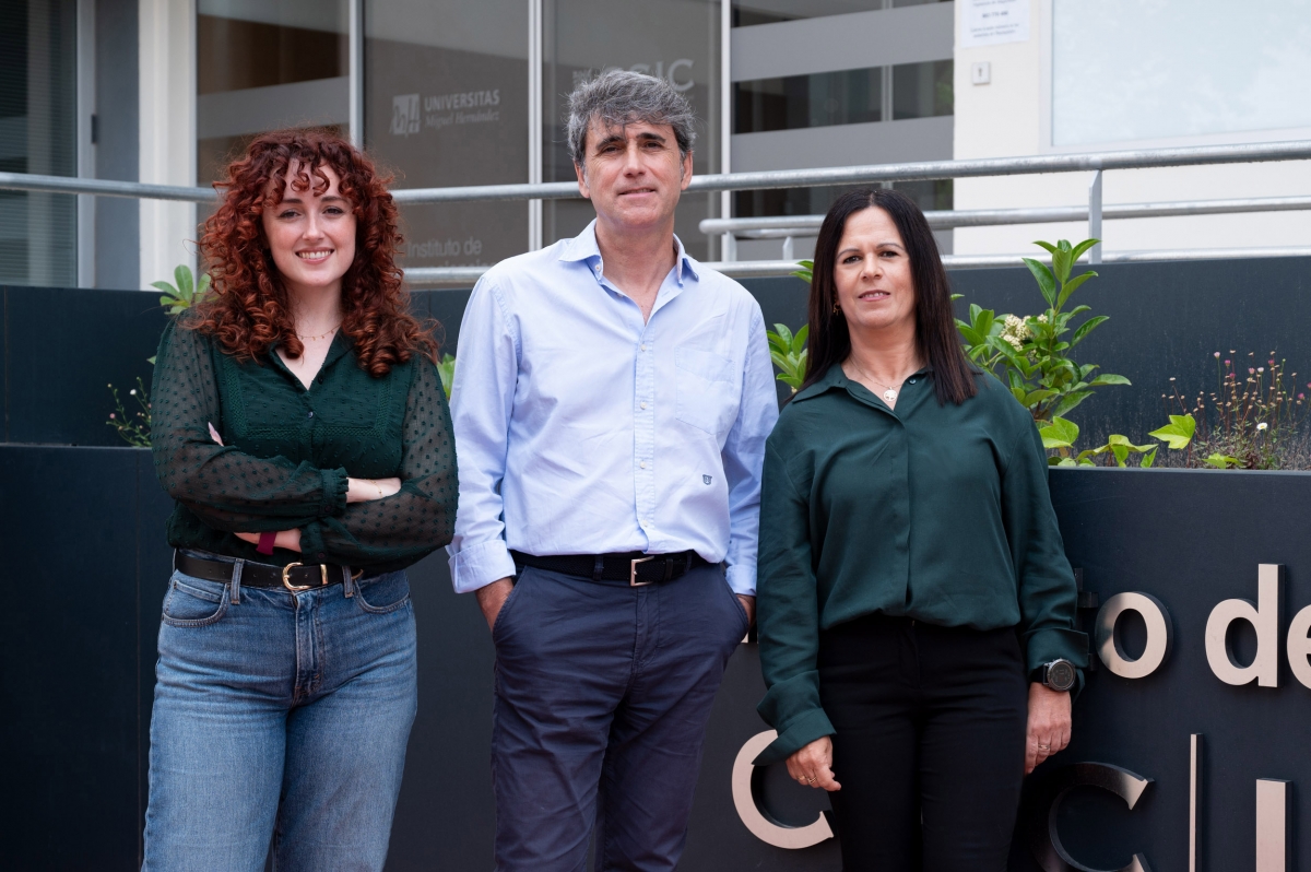 Un estudio de Fisabio y la UMH identifica alteraciones en una proteína implicada en el desarrollo de Alzheimer