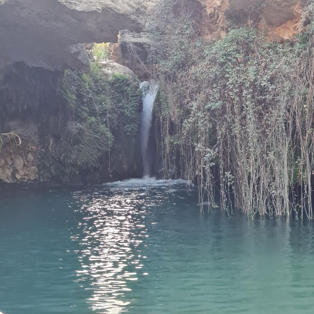  - Foto: TURISMO REGIÓN DE MURCIA 