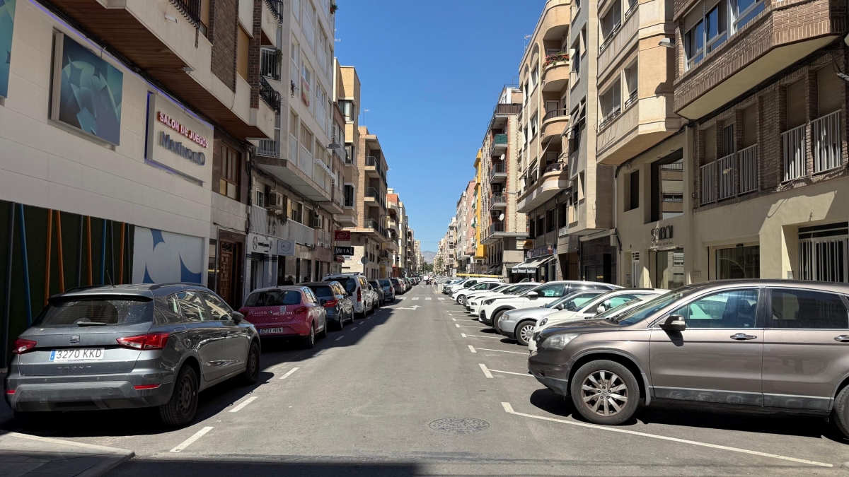 El bipartito de Elche impulsa la mayor plantación de arbolado con 200 nuevos alcorques por 222.000 euros
