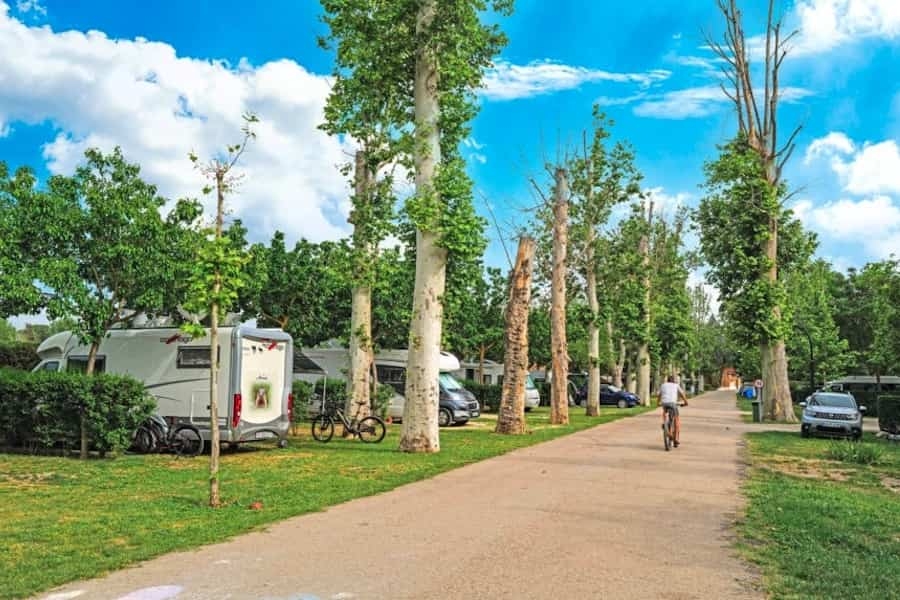 La fiebre de campings en Elche: nuevo proyecto en Valverde de 20.000 metros para autocaravanas