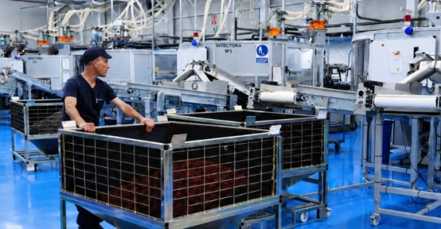 Excellent Cork, fabricante de tapones sintéticos de Ibi, obtiene la máxima calificación en la certificación BRC Packaging Materials