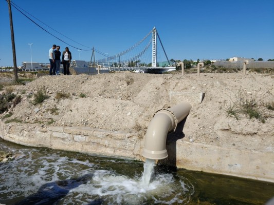 Nuevo hito para el riego de huertos Unesco de Elche: baja salinidad por el aporte de agua regenerada 