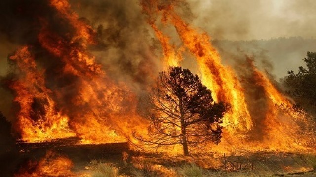 España se suma a la iniciativa europea para dar apoyo a otros países en la extinción de incendios forestales

