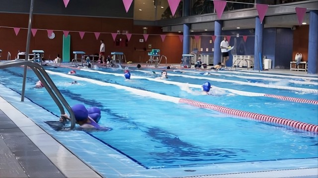 Adjudicado el contrato para mejora del edificio de la piscina de la Petxina por 1,3 millones