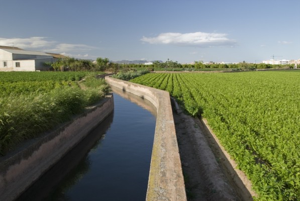 Agricultura asigna 1'2 millones de euros para las ayudas a la certificación de la producción ecológica en la Comunitat Valenciana