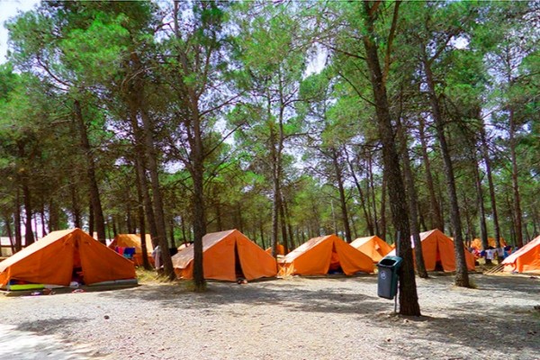El PSOE de Benidorm propone ampliar las plazas en los campamentos de verano 