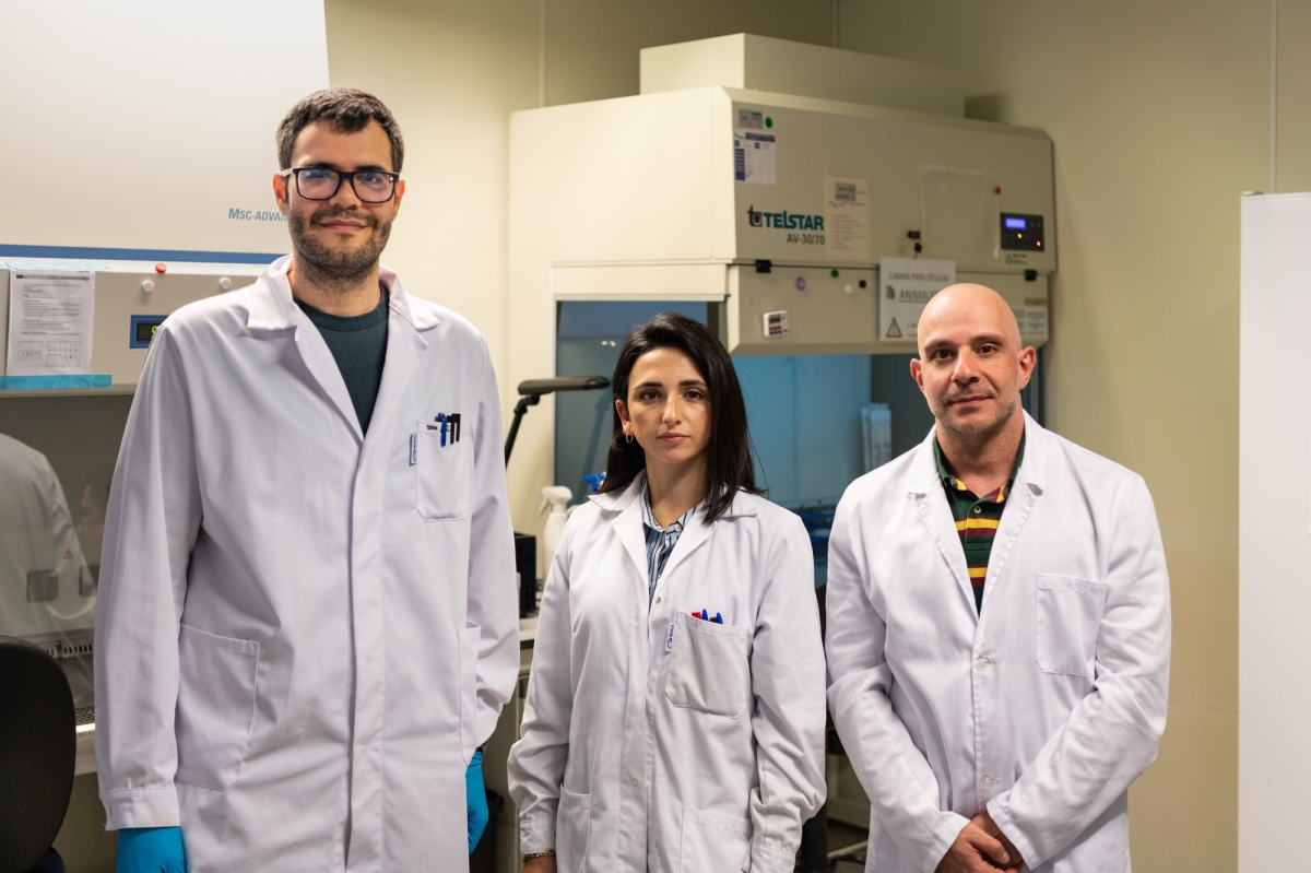 La UPV idea un nuevo hidrogel inteligente para reducir los tiempos de recuperación de fracturas de huesos