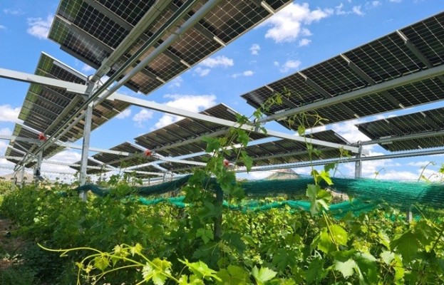 PowerfulTree, pionera en agrivoltaica inteligente, refuerza posición tras ampliar al 27% la participación de Erum Group