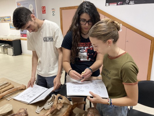 Un verano de formación en el Mupe: el alumnado de la UA realizan prácticas en el museo