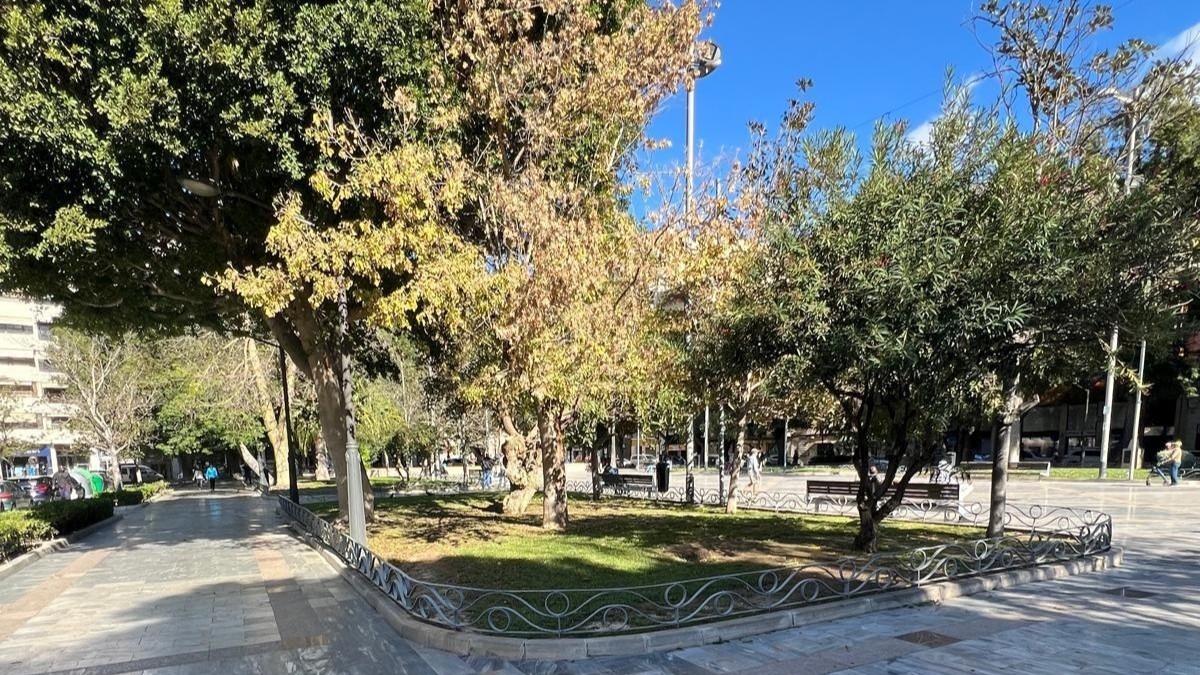 Cambiemos propone recuperar aves insectívoras y murciélagos para combatir la plaga de mosquitos en Orihuela