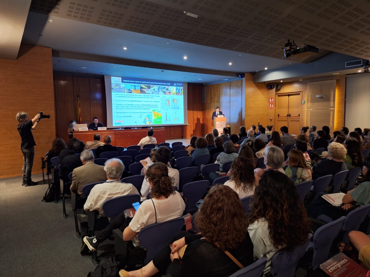 Expertos analizarán en Barcelona nuevas estrategias frente a los mosquitos transmisores de enfermedades emergentes