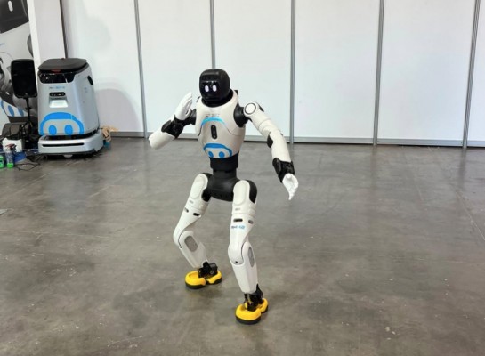 Bonico' y 'Bonica', los robots que 