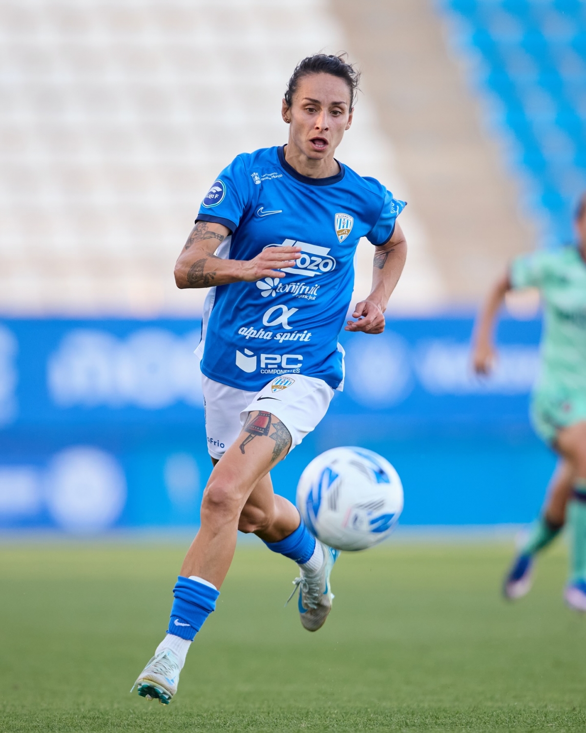  - Foto: ACFE