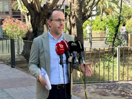 El PSOE de Elche exige al Consell que incluyan 