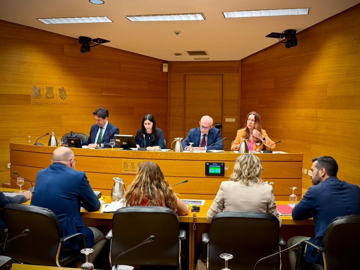 Comunitat Valenciana | PP y Vox aprueban su dictamen de la comisión Dana en Les Corts que la izquierda ve 