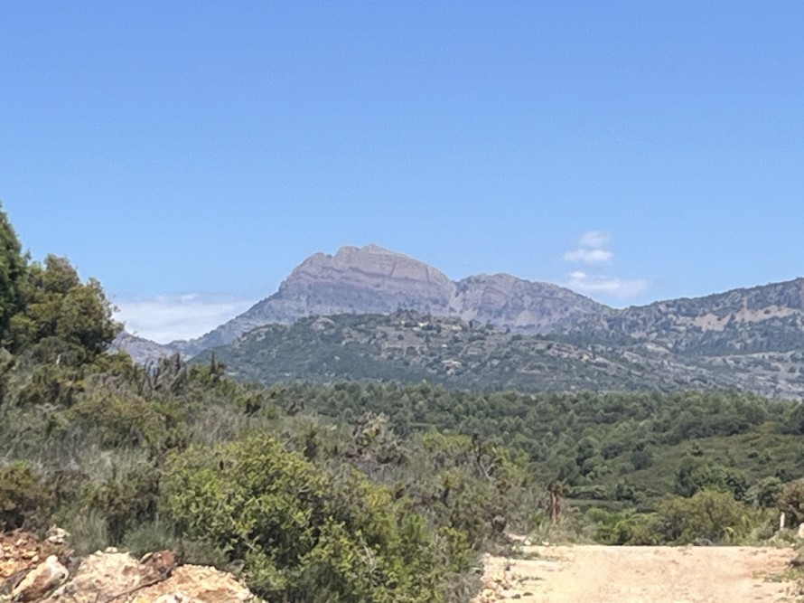 Las I Jornadas Gastronómicas del Penyagolosa nacen para reforzar la identidad gastronómica y la proyección turística el territorio