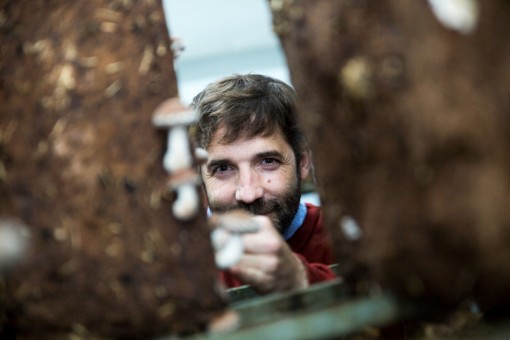 Atraco Hedonista a... Asier rojo (Arat Natura)