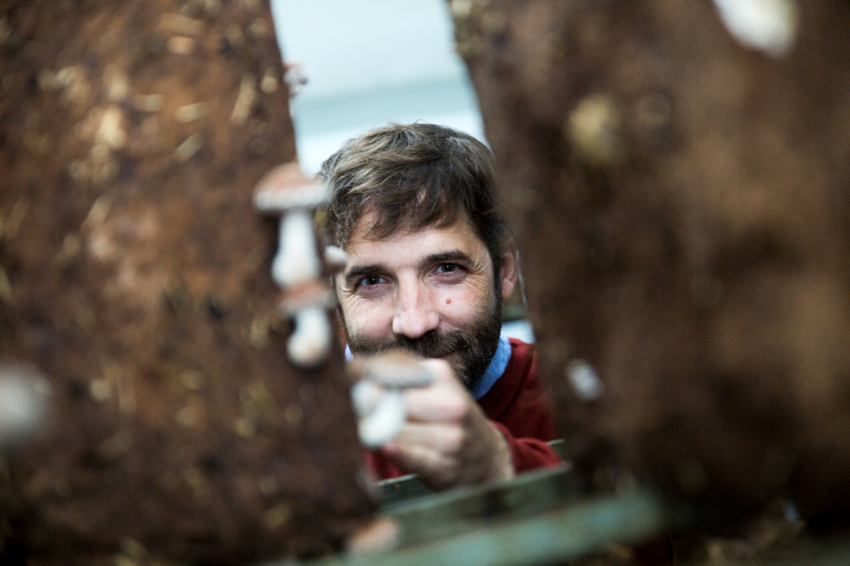Atraco Hedonista a... Asier rojo (Arat Natura)
