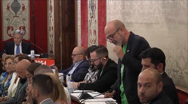 Alicante permitirá el voto telemático de los ediles en situación de baja tras el aval del TSJ a EU Podem