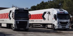 Ontime completa la compra de la molinense Campillo Palmera y toma el control de la sociedad